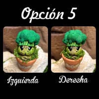 Image 11 of Mini mandrágora brócoli (versión huerto)