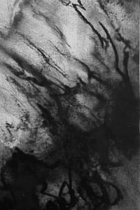 Image 3 of Mycelium dreams II