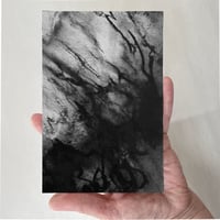 Image 1 of Mycelium dreams II