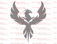Kevins  set of Silver Phoenix rear saddlebag decals