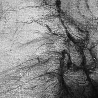 Image 2 of Mycelium dreams III