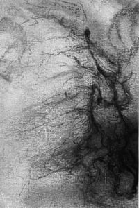 Image 3 of Mycelium dreams III