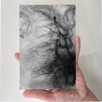 Image 4 of Mycelium dreams III