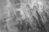 Image 1 of Mycelium dreams VI