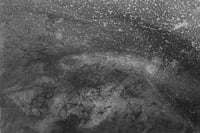 Image 1 of Mycelium dreams X