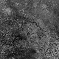 Image 2 of Mycelium dreams XI