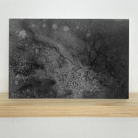 Image 1 of Mycelium dreams XI