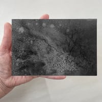 Image 4 of Mycelium dreams XI