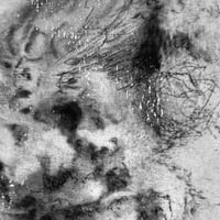 Image 2 of Oak fragment I