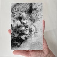 Image 3 of Oak fragment I