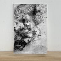 Image 4 of Oak fragment I