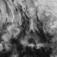 Image 3 of Oak fragment II