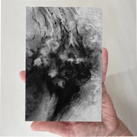 Image 1 of Oak fragment II