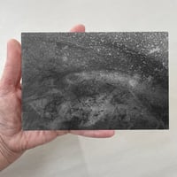 Image 2 of Mycelium dreams X