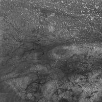 Image 3 of Mycelium dreams X