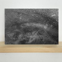 Image 4 of Mycelium dreams X