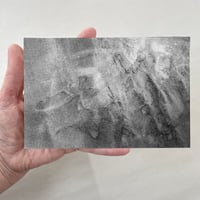 Image 2 of Mycelium dreams VI