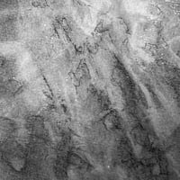 Image 4 of Mycelium dreams VI