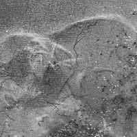 Image 4 of Mycelium dreams VII