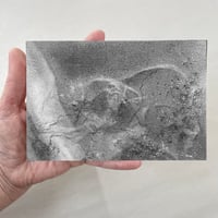 Image 3 of Mycelium dreams VII