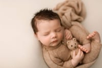 Image 1 of TOASTED COLLECTION | PREORDER