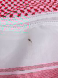 Image 12 of Imperfect keffiyehs