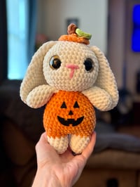 Image 1 of Pumpkin Bunny 
