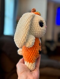 Image 3 of Pumpkin Bunny 