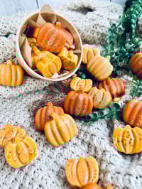 Image 1 of Forever Fall