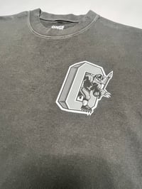 Image 3 of RAIDERS FLIP