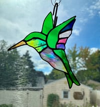 Image 4 of Humming bird 