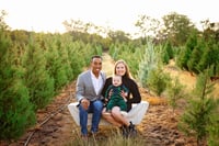 Image 2 of Tree Farm Minis- 2025