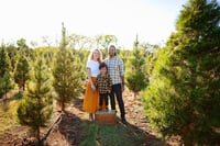 Image 3 of Tree Farm Minis- 2025