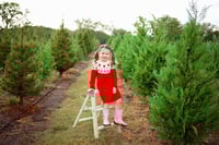 Image 4 of Tree Farm Minis- 2025