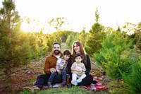 Image 1 of Tree Farm Minis- 2025