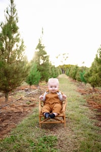 Image 5 of Tree Farm Minis- 2025