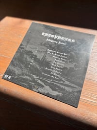 Image 1 of THEOPHONOS - ALLEGHENY RAINS BLACK 140G VINYL