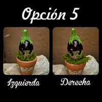 Image 10 of Mini mandrágora Berenjena (versión huerto)