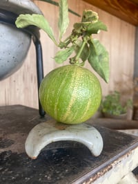 Image 5 of Tiny Objects Elevated