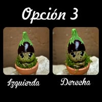 Image 8 of Mini mandrágora Berenjena (versión huerto)