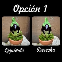 Image 6 of Mini mandrágora Berenjena (versión huerto)