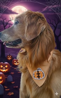 Image 1 of Pumpkin of My Eye