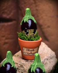 Image 2 of Mini mandrágora Berenjena (versión huerto)