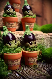 Image 3 of Mini mandrágora Berenjena (versión huerto)