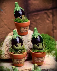 Image 4 of Mini mandrágora Berenjena (versión huerto)