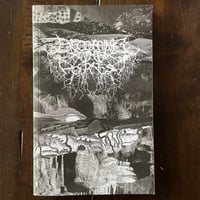 Becoming the Forest V