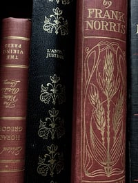 Image 3 of Mabon Perfume (Whiskey, Ginger, Spice, Amber)