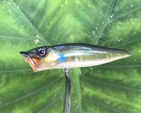 Image 6 of SPEEDBAITS Custom Airbrushed Topwater Popper 0692