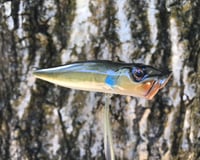 Image 2 of SPEEDBAITS Custom Airbrushed Topwater Popper 0692