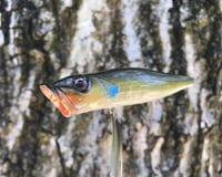 Image 4 of SPEEDBAITS Custom Airbrushed Topwater Popper 0692